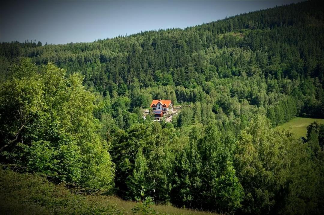 Apartamety I Pokoje Goscinne Na Jaskolczej Swieradow-Zdroj Bagian luar foto